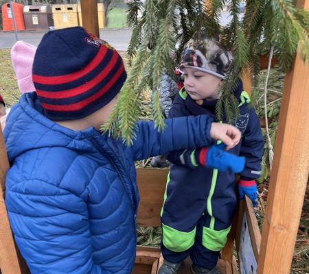 2025 Advent_19_result