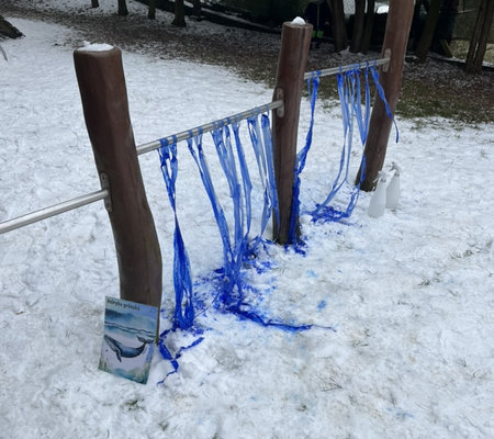 2026 Za polárním kruhem_28_result