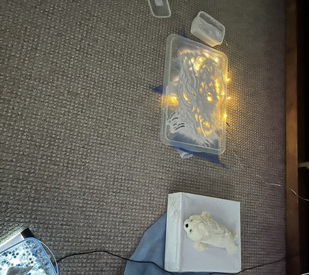 2026 Za polárním kruhem_45_result